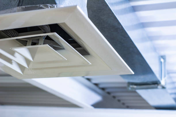 Best Local Air Duct Cleaning Services  in Ravenel, SC