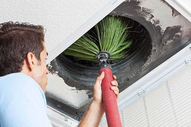 Best Affordable HVAC Duct Cleaning  in Ravenel, SC