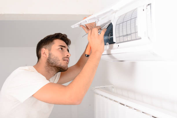 Best Home Air Vent Cleaning  in Ravenel, SC