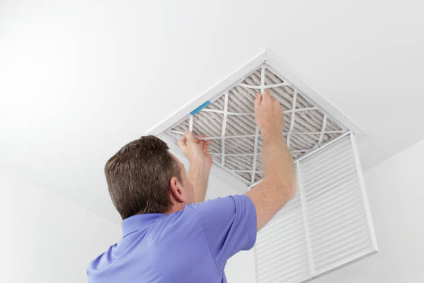 Best Duct Cleaning Specialists  in Ravenel, SC